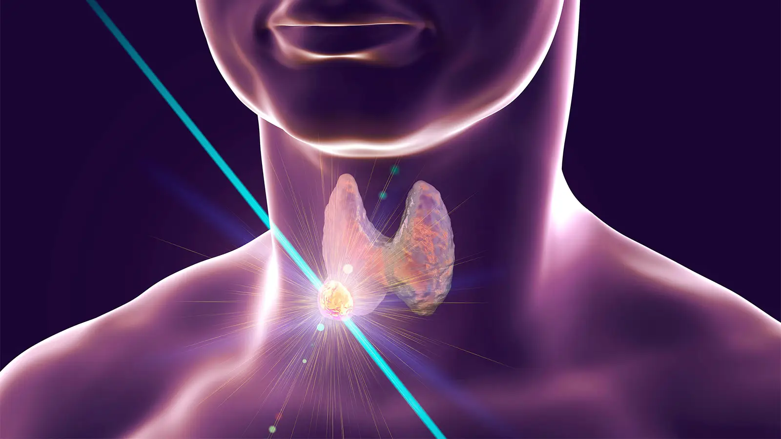 animation of thyroid in the neck